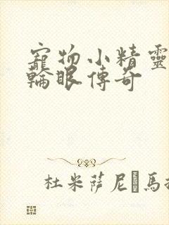 宠物小精灵之写轮眼传奇