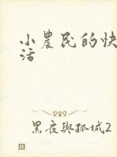 小农民的快乐生活封面