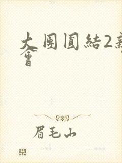 大团圆结2亲情会