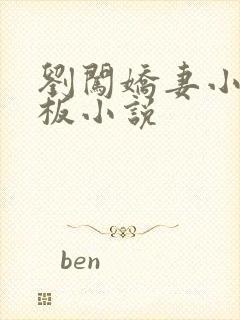 刘闯娇妻小婉老板小说封面