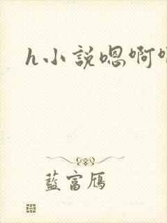 h小说嗯啊啊封面