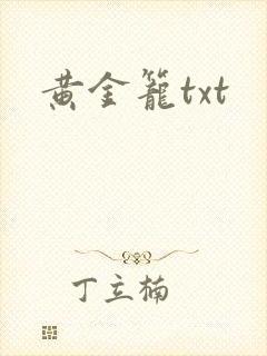 黄金笼txt