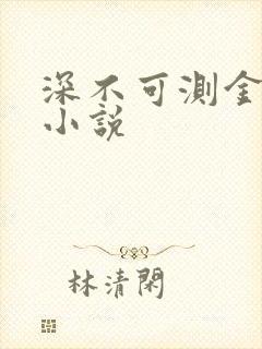 深不可测金银花小说封面