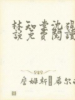 林知棠沈砚清小说免费阅读最新章节