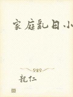 家庭乱日小说