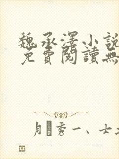 魏承泽小说全文免费阅读无弹窗笔趣