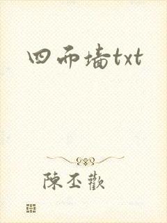 四面墙txt封面