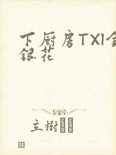 下厨房TXl金银花