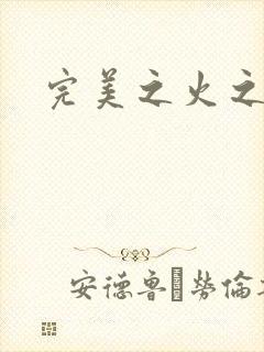 完美之火之灰烬封面