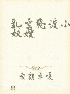 乱云飞渡小说之姣嫂封面