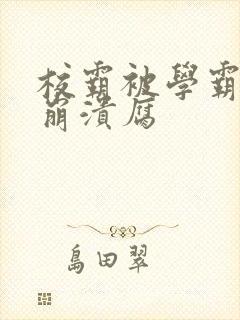 校霸被学霸玩到崩溃腐封面