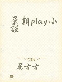 孕期play小说封面