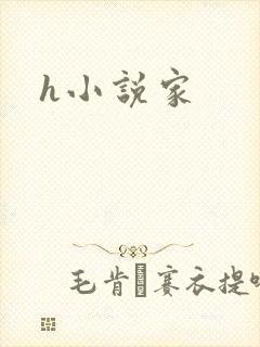 h小说家