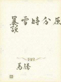 暴雪时分原著小说封面