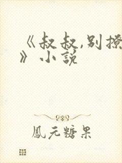 《叔叔,别撩我》小说