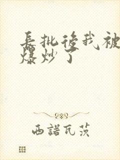 长批后我被宿敌爆炒了