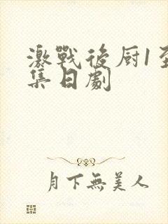 激战后厨1至5集日剧封面