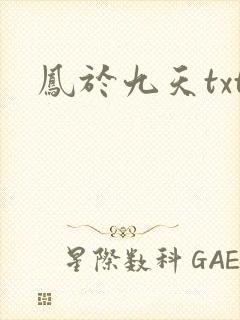 凤于九天txt