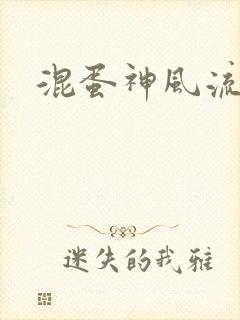 混蛋神风流
