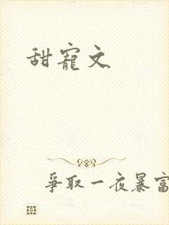 甜宠文