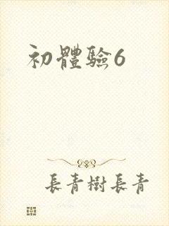 初体验6