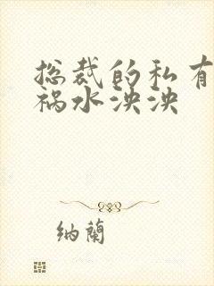 总裁的私有宝贝祸水泱泱