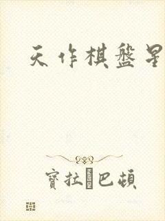 天作棋盘星作子封面