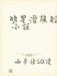 明星潜规则之皇 小说