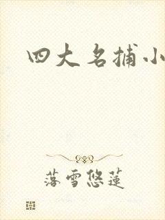 四大名捕小说