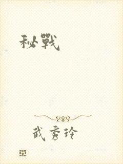 秘战
