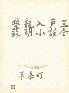 双龙入户三人行苏玥小说全文阅读