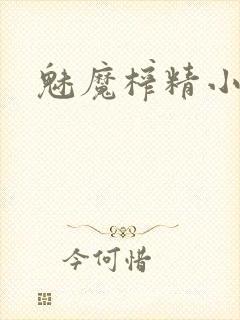 魅魔榨精小说封面