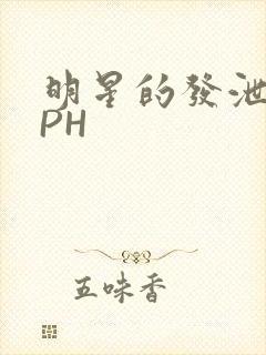 明星的发泄室NPH