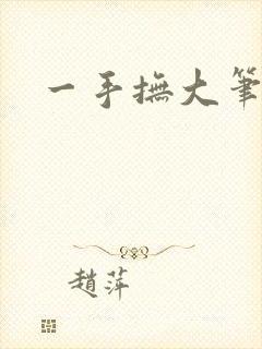 一手抚大笔趣阁封面