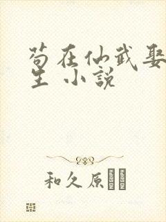 苟在仙武娶妻长生 小说