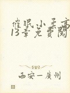 催眠小柔高达第13章免费阅读