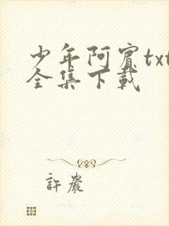少年阿宾txt全集下载