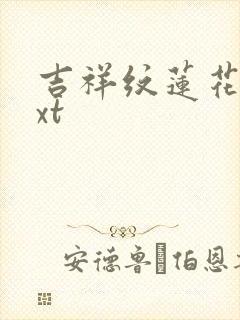 吉祥纹莲花楼txt封面