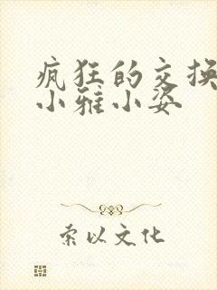 疯狂的交换小静小雅小姿封面
