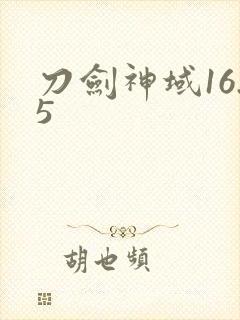 刀剑神域16.5