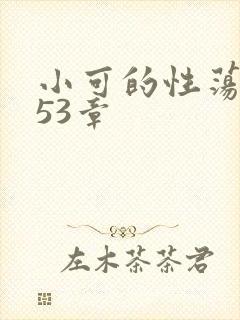 小可的性荡生活53章