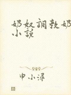 奶奴调教奶头的小说