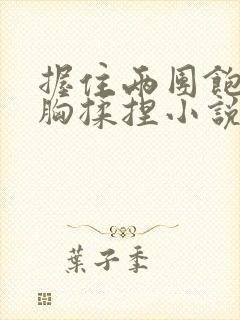 握住两团饱满的胸揉捏小说