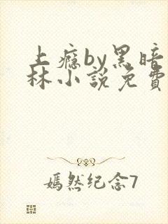 上瘾by黑暗森林小说免费