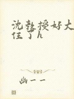 沈教授好大含不住了h