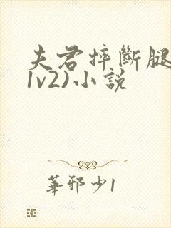 夫君摔断腿后(1v2)小说