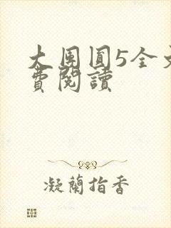 大团圆5全文免费阅读