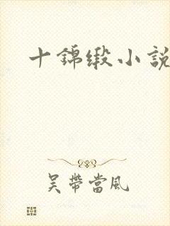 十锦缎小说