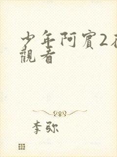 少年阿宾2在线观看