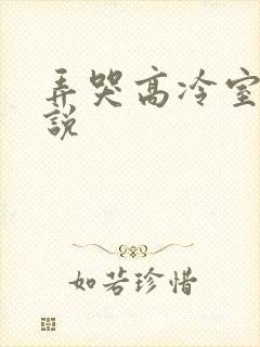 弄哭高冷室友小说